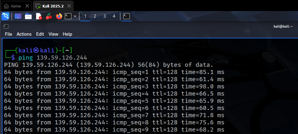 Successful Ping Test